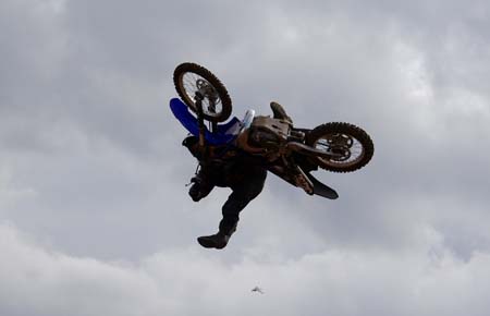 Crazy whip